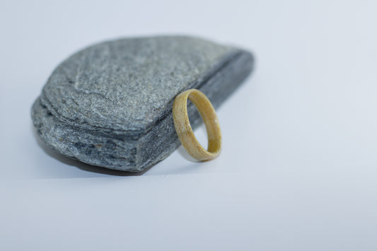 Birch Bentwood Ring